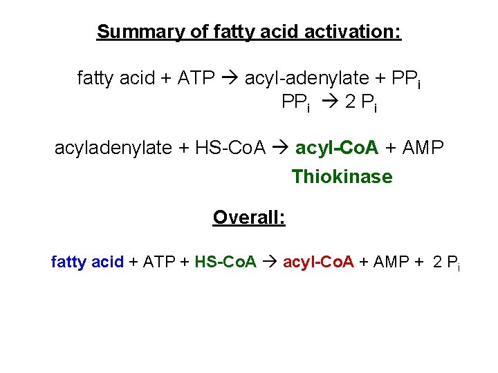 Summary of fatty acid activation: fatty acid + ATP acyl-adenylate + PPi 2 Pi