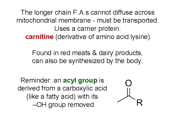 The longer chain F. A. s cannot diffuse across mitochondrial membrane - must be