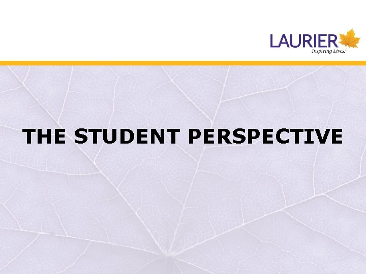 THE STUDENT PERSPECTIVE 