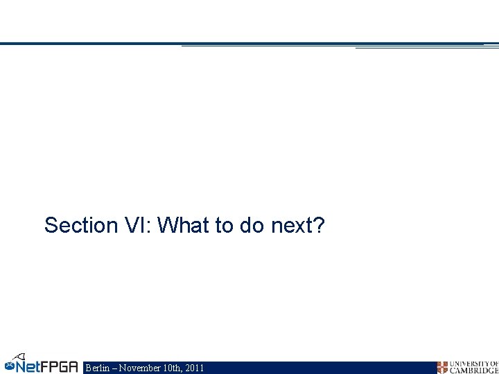 Section VI: What to do next? Berlin – November 10 th, 2011 