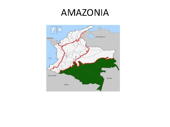 AMAZONIA 