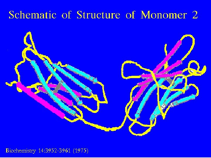 19 Bence Jones Monomer 5/22/2021 