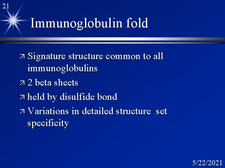 21 Immunoglobulin fold ä Signature structure common to all immunoglobulins ä 2 beta sheets