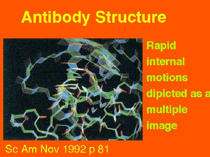 29 Antibody Strucutre: Internal motion 5/22/2021 