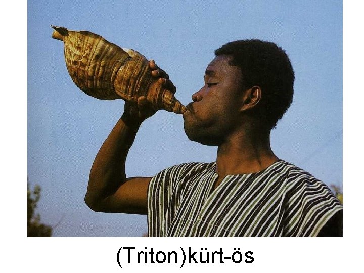 (Triton)kürt-ös 