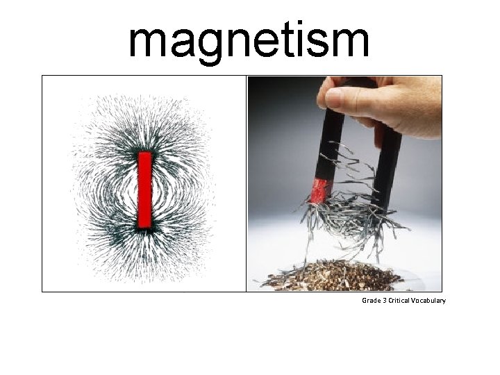 magnetism Grade 3 Critical Vocabulary 