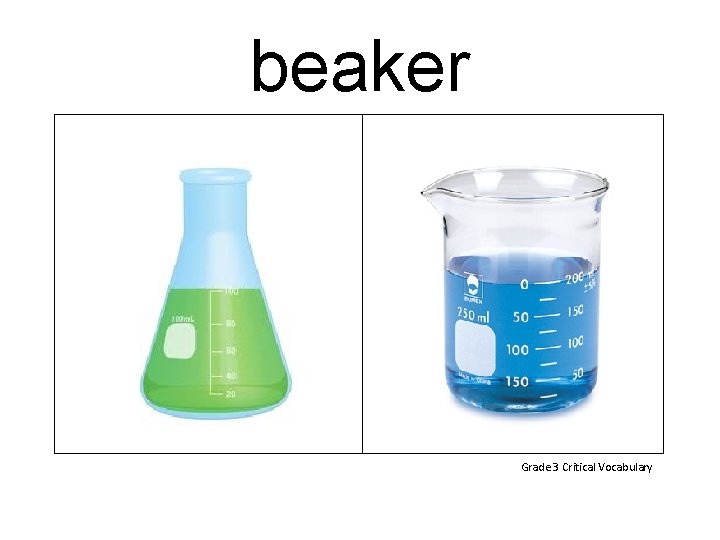 beaker Grade 3 Critical Vocabulary 