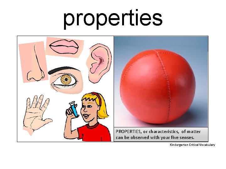 properties PROPERTIES, or characteristics, of matter can be observed with your five senses. Kindergarten