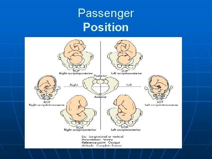 Passenger Position 