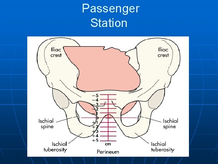 Passenger Station 