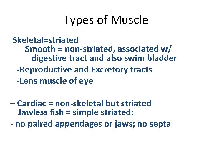 Types of Muscle – Skeletal=striated – Smooth = non-striated, associated w/ digestive tract and