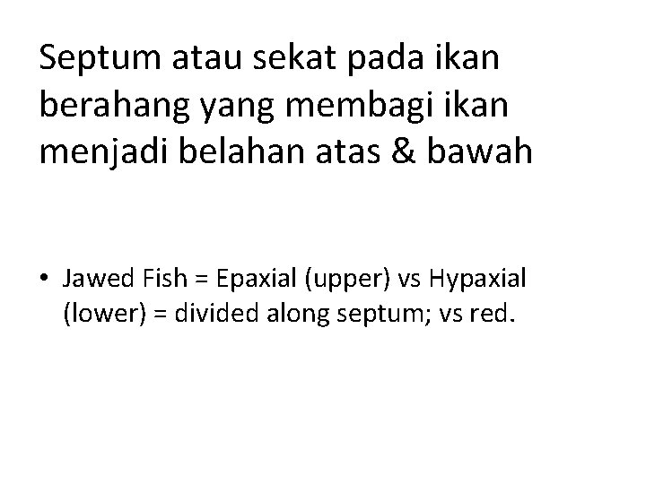 Septum atau sekat pada ikan berahang yang membagi ikan menjadi belahan atas & bawah