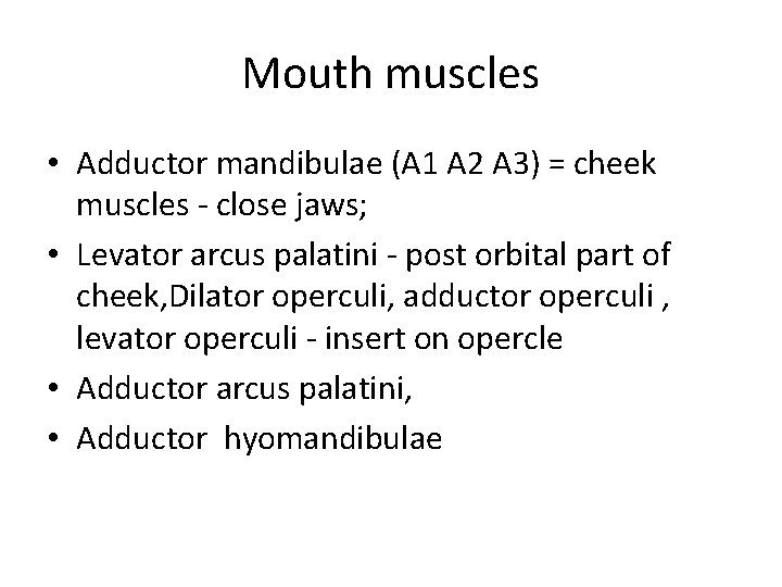 Mouth muscles • Adductor mandibulae (A 1 A 2 A 3) = cheek muscles