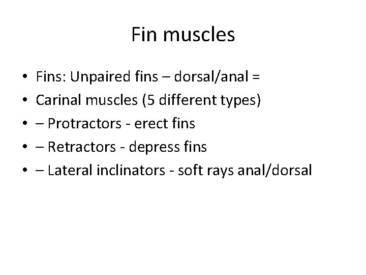 Fin muscles • • • Fins: Unpaired fins – dorsal/anal = Carinal muscles (5