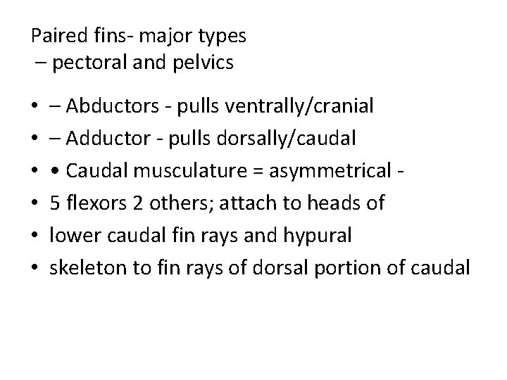 Paired fins- major types – pectoral and pelvics • • • – Abductors -