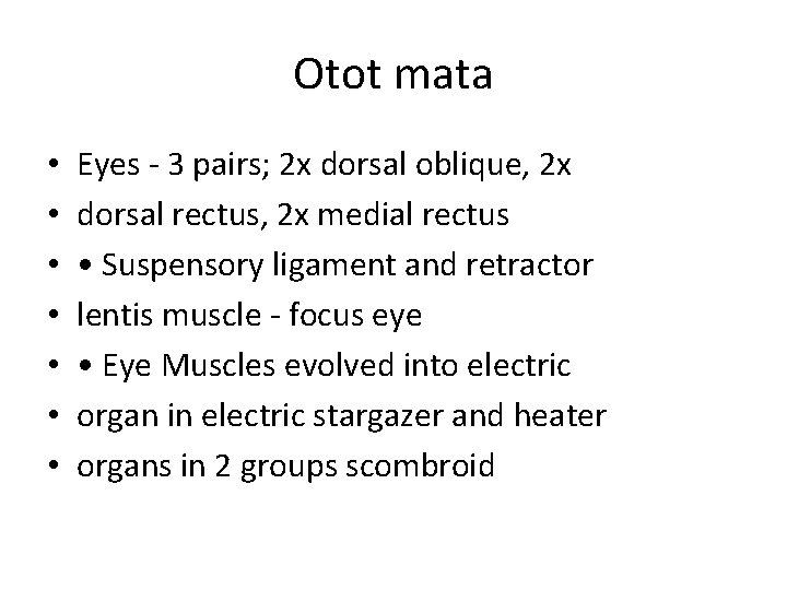 Otot mata • • Eyes - 3 pairs; 2 x dorsal oblique, 2 x