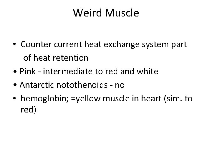 Weird Muscle • Counter current heat exchange system part of heat retention • Pink