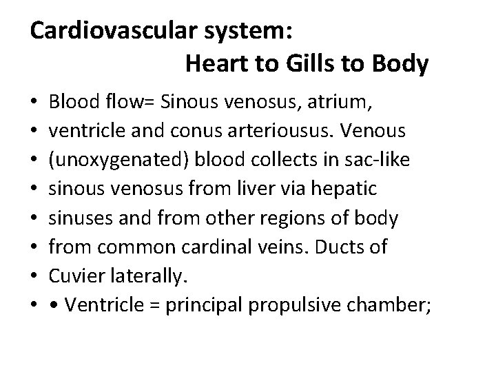 Cardiovascular system: Heart to Gills to Body • • Blood flow= Sinous venosus, atrium,