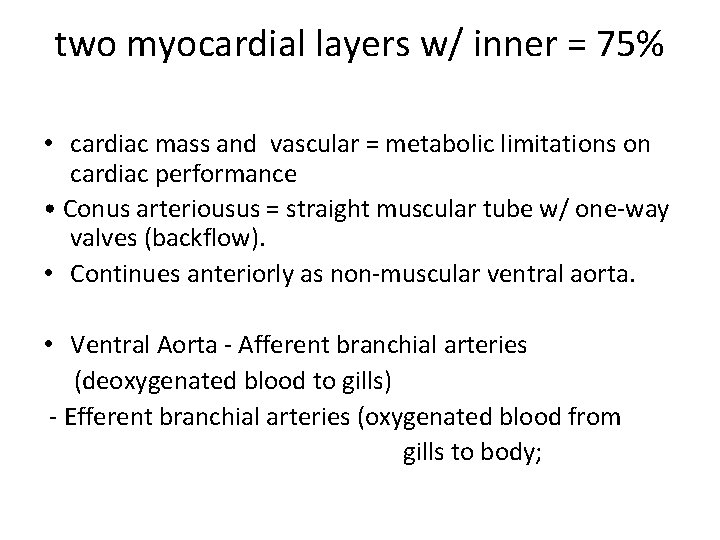 two myocardial layers w/ inner = 75% • cardiac mass and vascular = metabolic