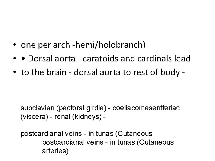  • one per arch -hemi/holobranch) • • Dorsal aorta - caratoids and cardinals