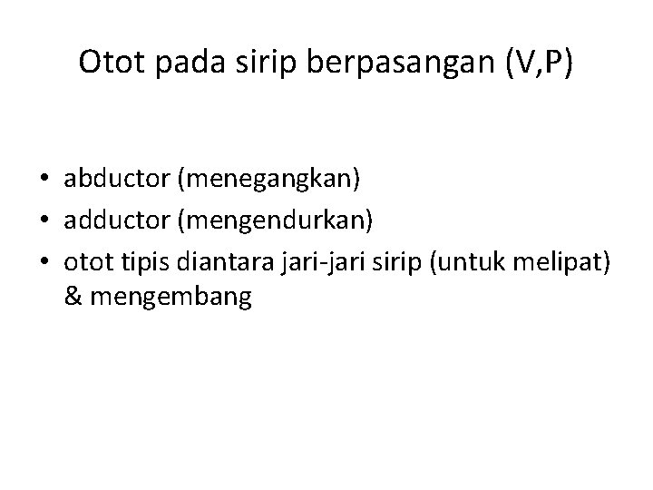 Otot pada sirip berpasangan (V, P) • abductor (menegangkan) • adductor (mengendurkan) • otot