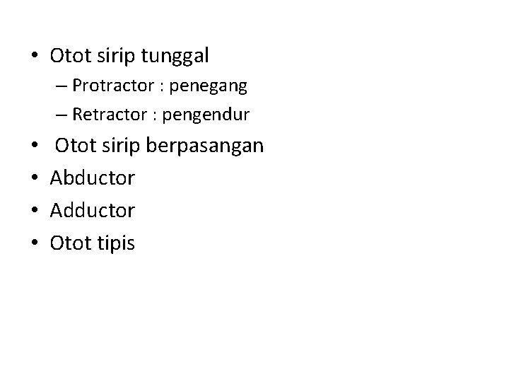  • Otot sirip tunggal – Protractor : penegang – Retractor : pengendur •