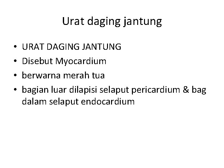 Urat daging jantung • • URAT DAGING JANTUNG Disebut Myocardium berwarna merah tua bagian