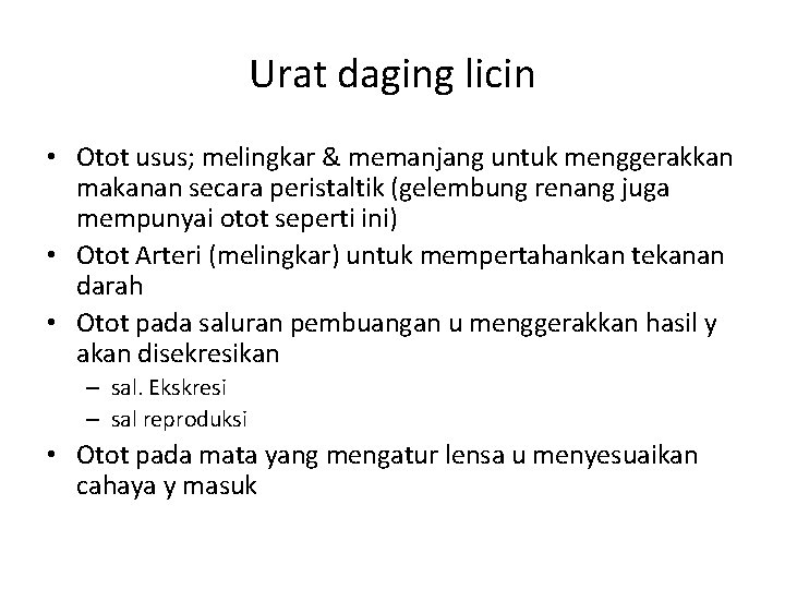 Urat daging licin • Otot usus; melingkar & memanjang untuk menggerakkan makanan secara peristaltik