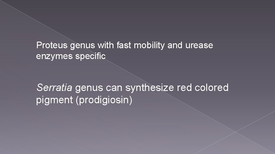Proteus genus with fast mobility and urease enzymes specific Serratia genus can synthesize red Proteus genus with fast mobility and urease enzymes specific Serratia genus can synthesize red