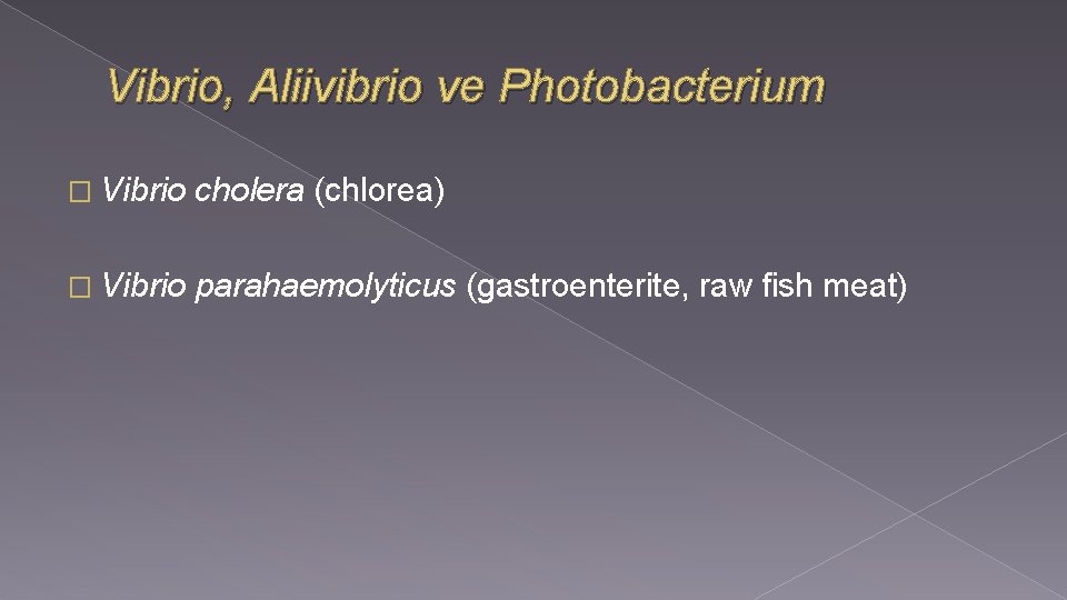 Vibrio, Aliivibrio ve Photobacterium � Vibrio cholera (chlorea) � Vibrio parahaemolyticus (gastroenterite, raw fish Vibrio, Aliivibrio ve Photobacterium � Vibrio cholera (chlorea) � Vibrio parahaemolyticus (gastroenterite, raw fish