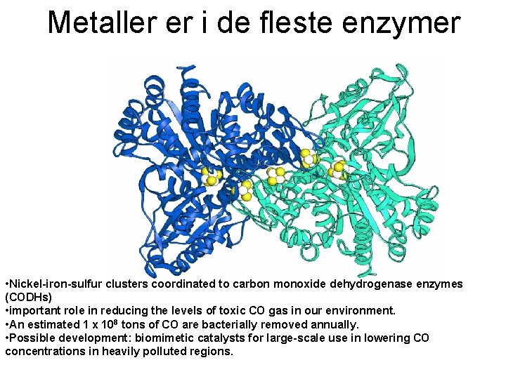 Metaller er i de fleste enzymer • Nickel-iron-sulfur clusters coordinated to carbon monoxide dehydrogenase