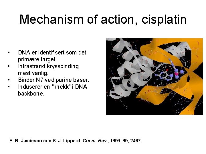 Mechanism of action, cisplatin • • DNA er identifisert som det primære target. Intrastrand