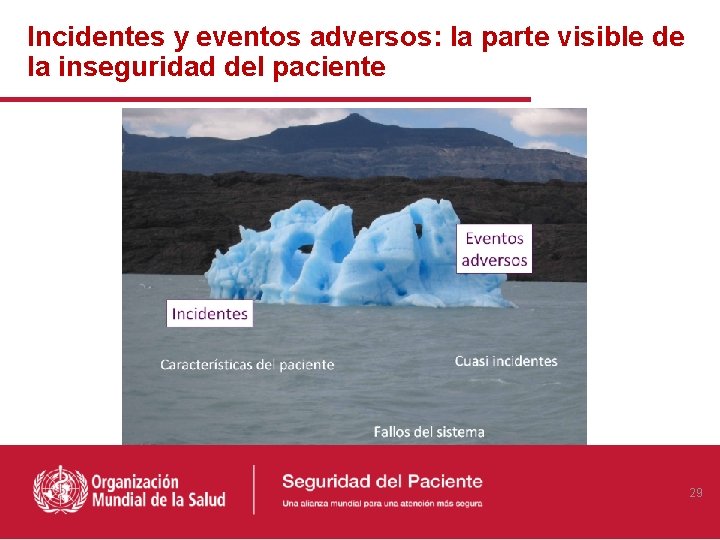 Incidentes y eventos adversos: la parte visible de la inseguridad del paciente 29 