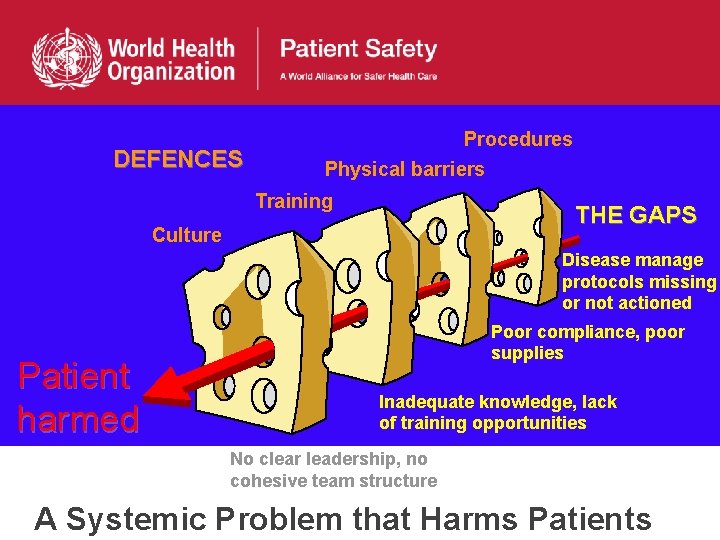 DEFENCES Procedures Physical barriers Training THE GAPS Culture Disease manage protocols missing or not