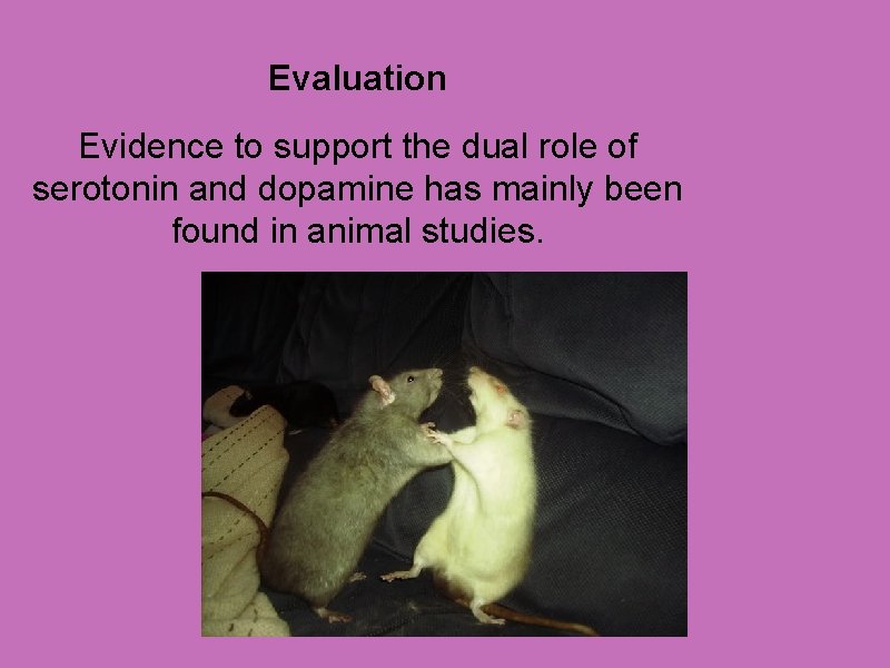 Evaluation Evidence to support the dual role of serotonin and dopamine has mainly been