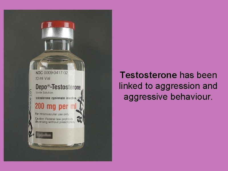 Testosterone has been linked to aggression and aggressive behaviour. 