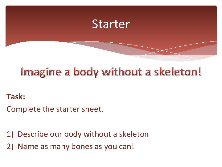Starter Imagine a body without a skeleton! Task: Complete the starter sheet. 1) Describe