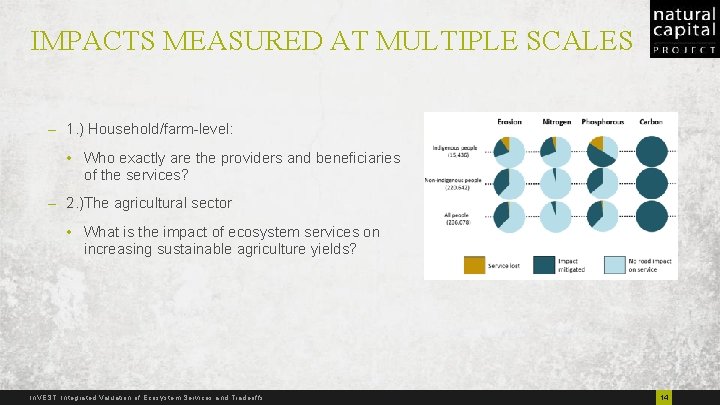 IMPACTS MEASURED AT MULTIPLE SCALES – 1. ) Household/farm-level: • Who exactly are the