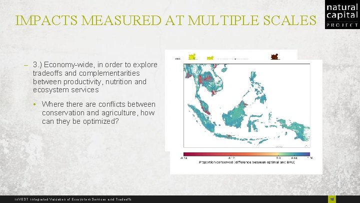 IMPACTS MEASURED AT MULTIPLE SCALES – 3. ) Economy-wide, in order to explore tradeoffs
