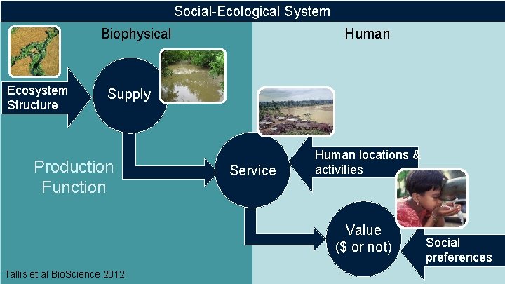 Social-Ecological System Biophysical Ecosystem Structure Human Supply Production Function Service Human locations & activities