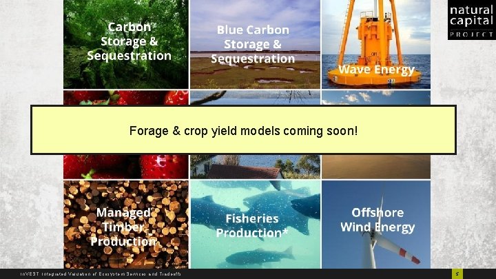 Forage & crop yield models coming soon! In. VEST: Integrated Valuation of Ecosystem Services