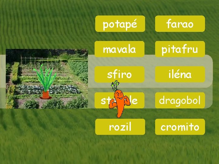 potapé farao mavala pitafru sfiro iléna stabule dragobol rozil cromito 