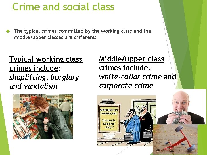 Crime and social class The typical crimes committed by the working class and the