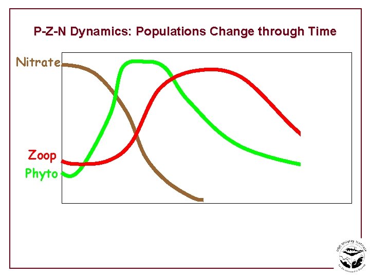 P-Z-N Dynamics: Populations Change through Time Nitrate Zoop Phyto 