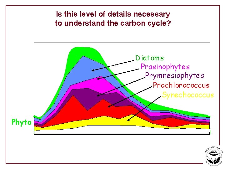 Is this level of details necessary to understand the carbon cycle? Diatoms Prasinophytes Prymnesiophytes