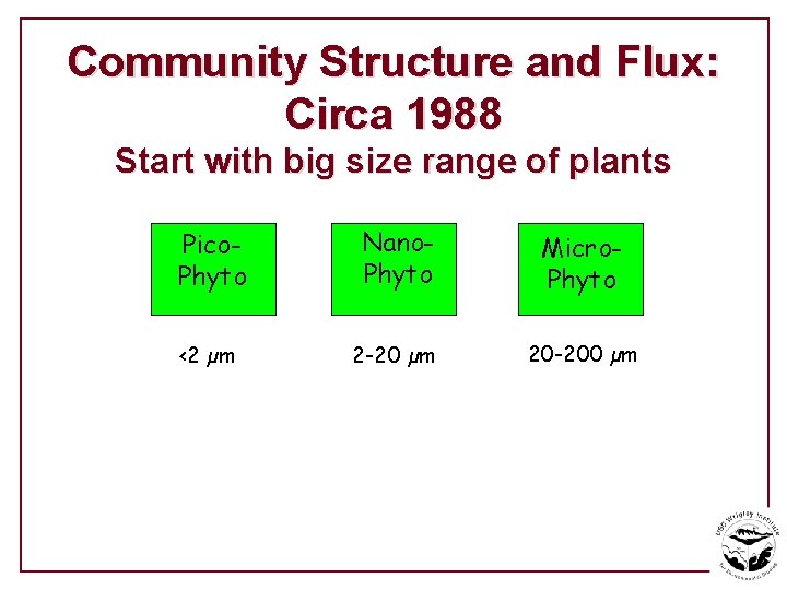 Community Structure and Flux: Circa 1988 Start with big size range of plants Pico.