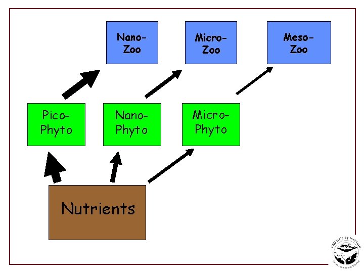 Pico. Phyto Nano. Zoo Micro. Zoo Nano. Phyto Micro. Phyto Nutrients Meso. Zoo 