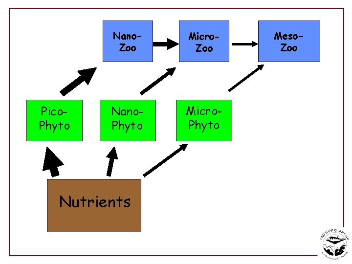 Pico. Phyto Nano. Zoo Micro. Zoo Nano. Phyto Micro. Phyto Nutrients Meso. Zoo 