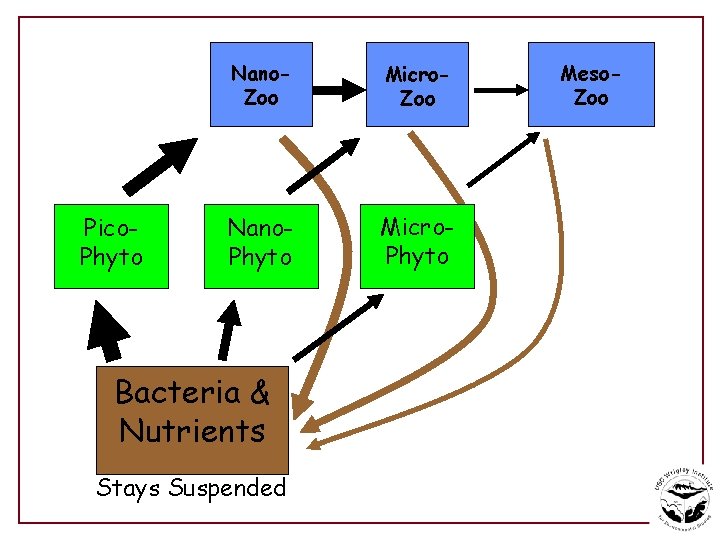 Pico. Phyto Nano. Zoo Micro. Zoo Nano. Phyto Micro. Phyto Bacteria & Nutrients Stays