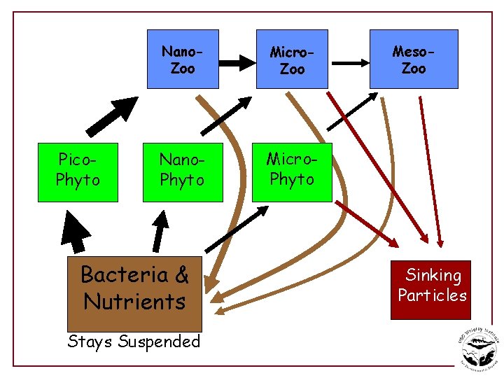 Pico. Phyto Nano. Zoo Micro. Zoo Nano. Phyto Micro. Phyto Bacteria & Nutrients Stays